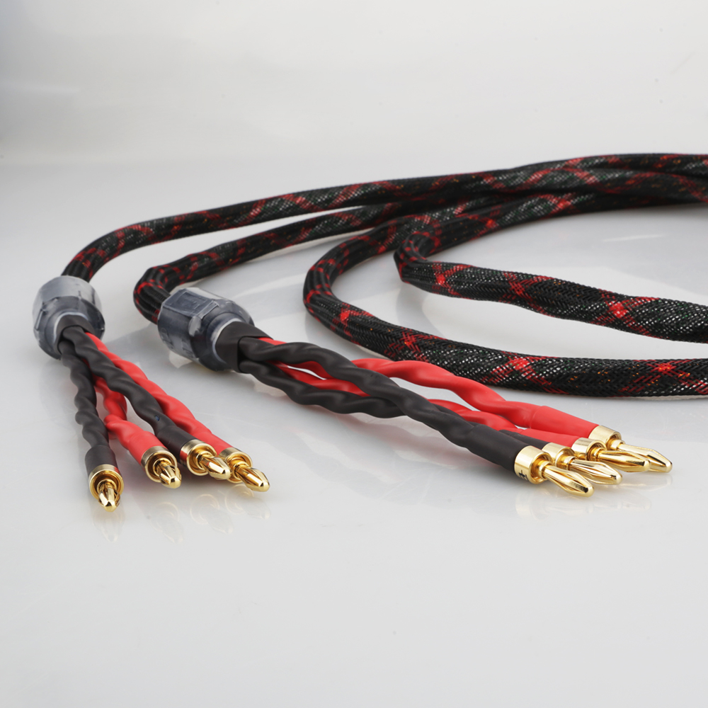 Cavo per Altoparlanti Bi-Wire  - Genius Home Cinema recensione e prezzo
