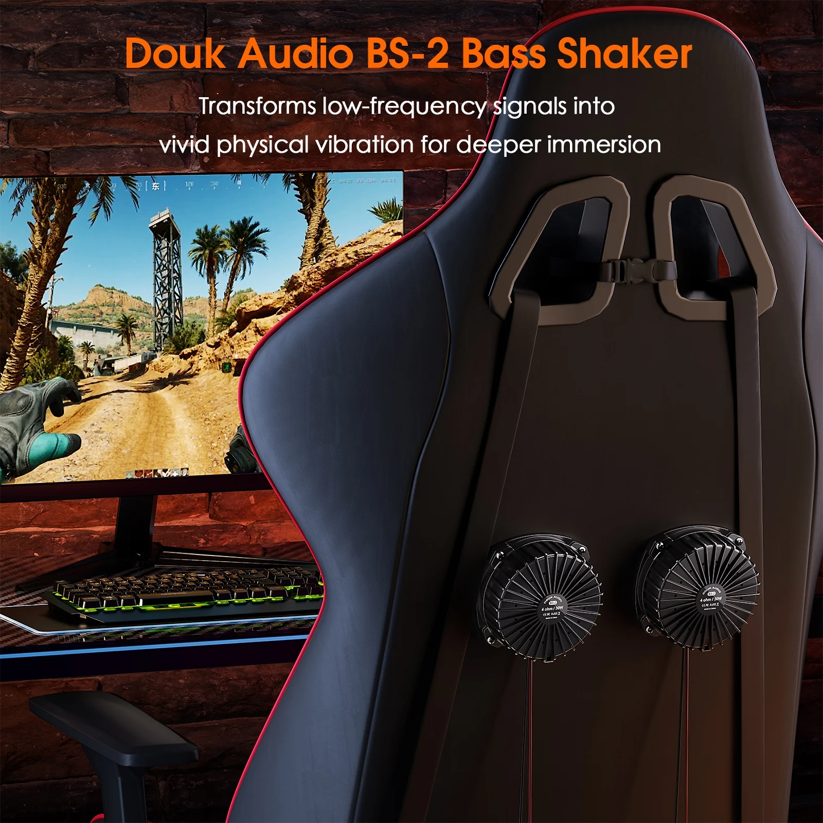 Douk Audio BS-2 30W 4Ω Bass Sh - Audio Home Cinema recensione e prezzo